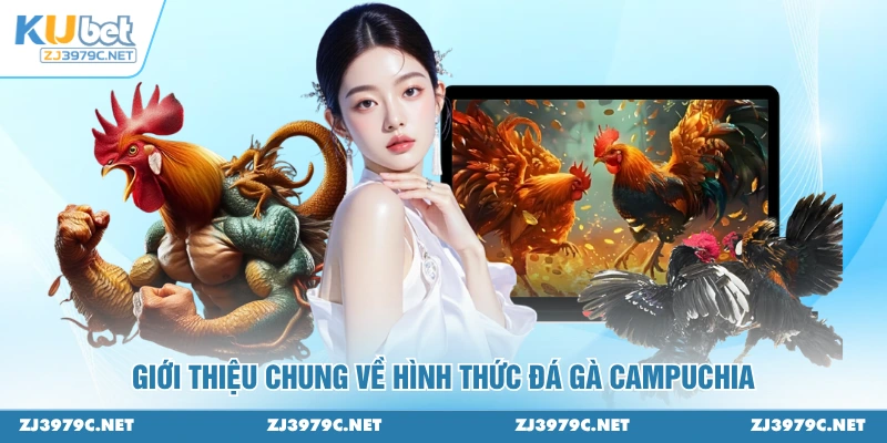 Giới thiệu chung về hình thức đá gà Campuchia