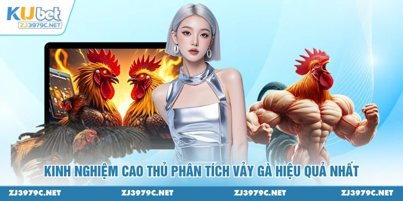 Kinh nghiệm cao thủ phân tích vảy gà hiệu quả nhất