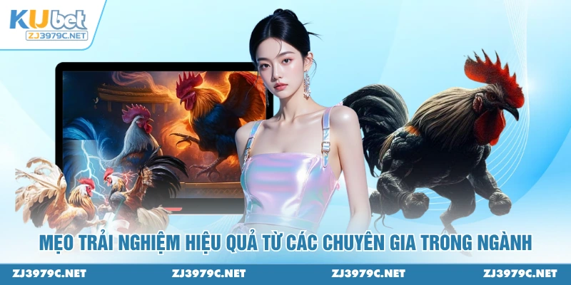 Mẹo trải nghiệm hiệu quả từ các chuyên gia trong ngành