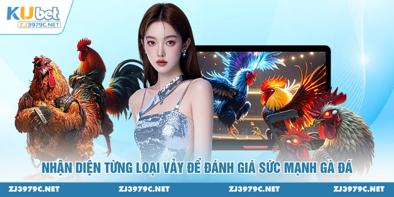 Nhận diện từng loại vảy để đánh giá sức mạnh gà đá